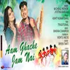 Aam Ghache Jam Nai